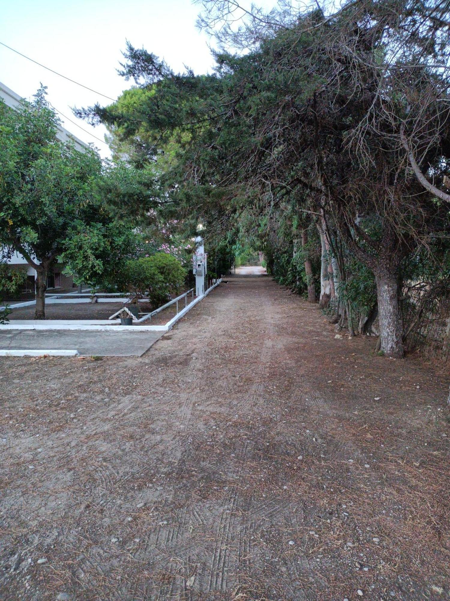 Luxurious Apartment Katakolo Beach Exterior photo