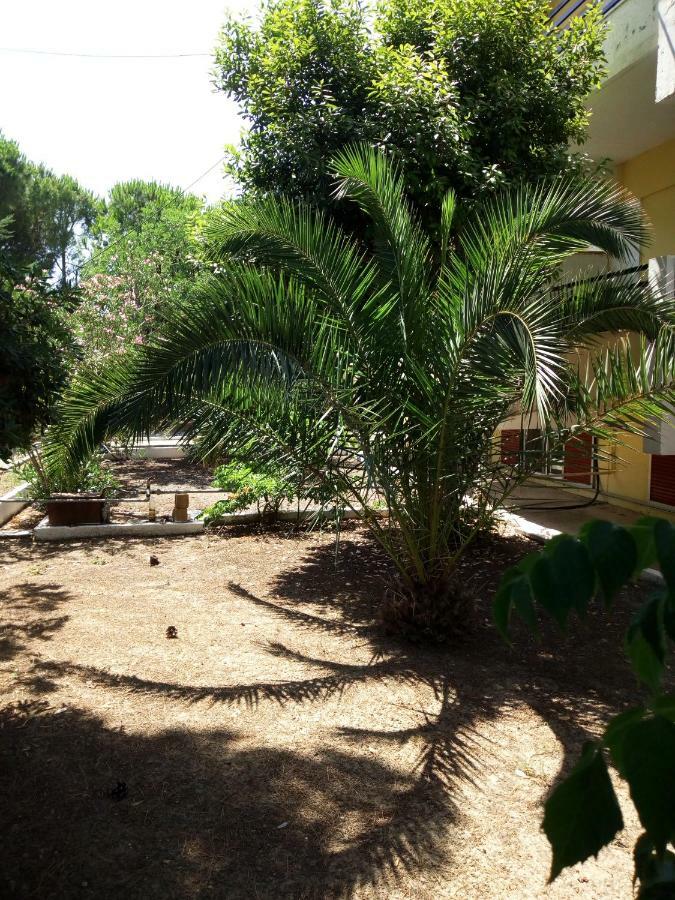 Luxurious Apartment Katakolo Beach Exterior photo